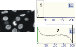 BspHistogramLogLin