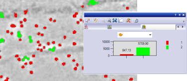 CM_Exam_GoldLabel03+Histogram