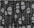 CM_exam_WoodVessel