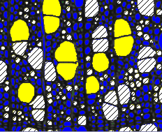 EX_2ParaClass_02