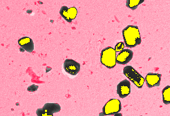 Ex_PseudoColor02