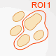 g_mes_ROI