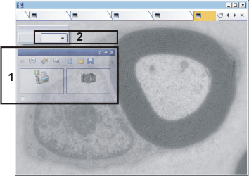 LayoutFullScreenRADIUS